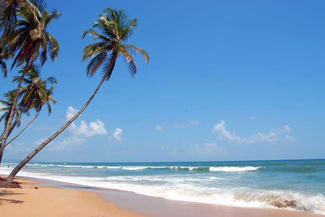 Indian beach of Colva beautiful travel destination India